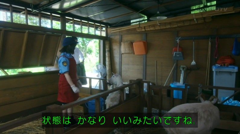 いきもの係 4話のキャプ250