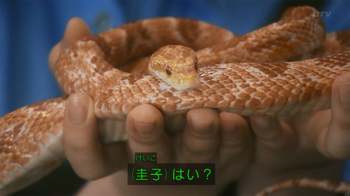 いきもの係 3話のキャプ5