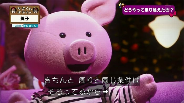 ねほりん 養子回のキャプ270