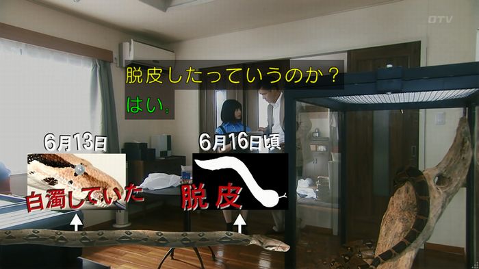 いきもの係 3話のキャプ262