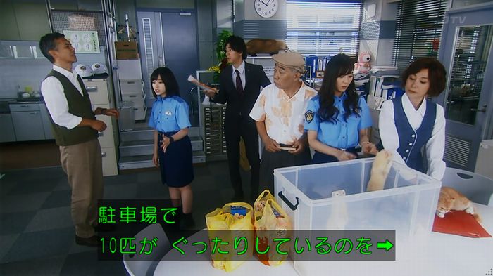 警視庁いきもの係 8話のキャプ68