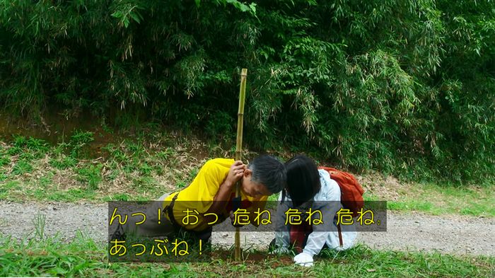 警視庁いきもの係 9話のキャプ526