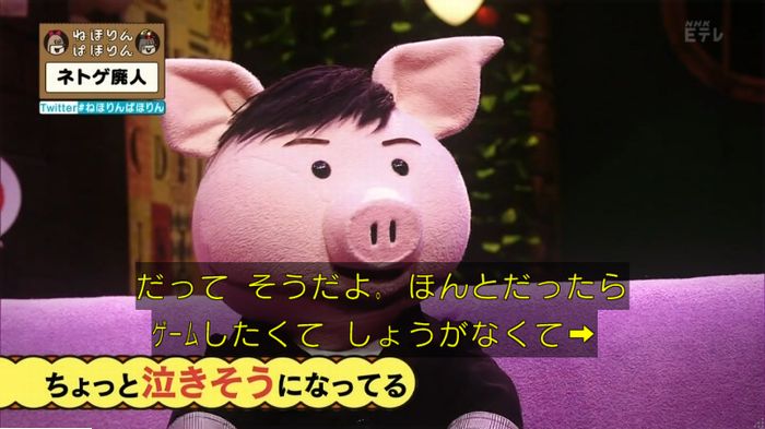 ねほりんネトゲ廃人のキャプ484