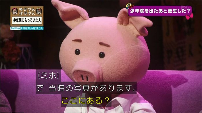 ねほりんぱほりんのキャプ231