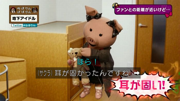 ねほりん 地下アイドル後編のキャプ170