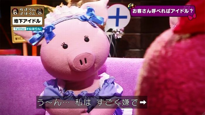 ねほりん 地下アイドル回のキャプ249