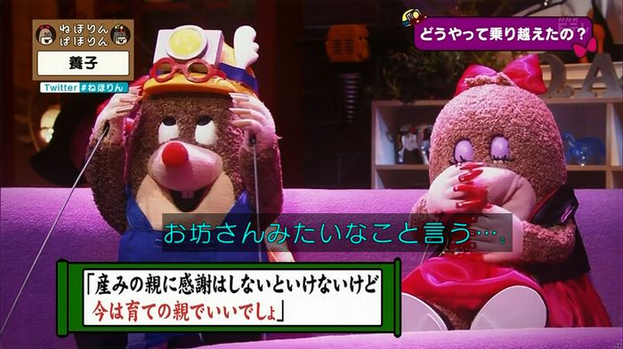 ねほりん 養子回のキャプ265