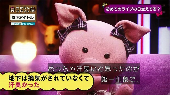 ねほりん 地下アイドル回のキャプ308