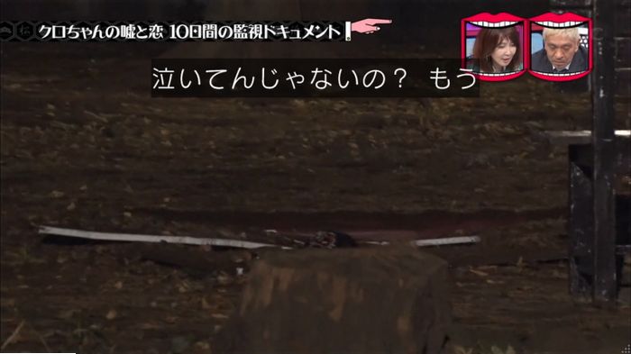 水曜日のダウンタウンのキャプ294