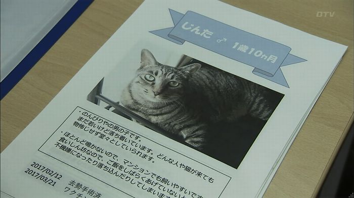 ウツボカズラの夢1話のキャプ438