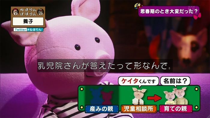 ねほりん 養子回のキャプ244