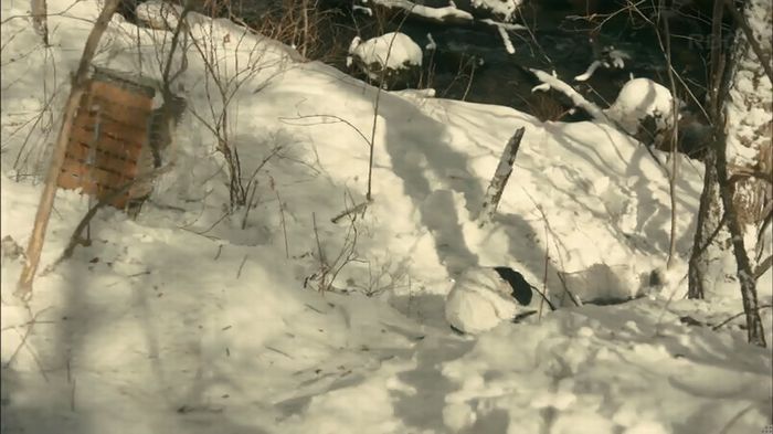 カルテット 7話のキャプ29