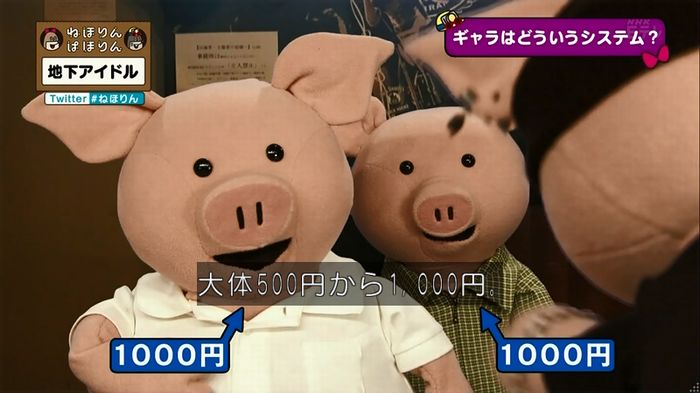 ねほりん 地下アイドル回のキャプ174