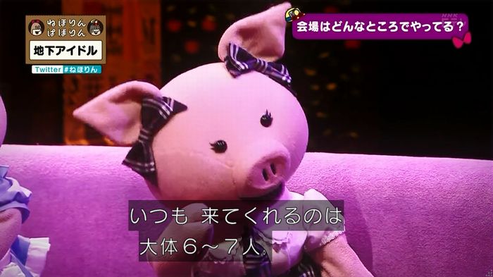 ねほりん 地下アイドル回のキャプ102