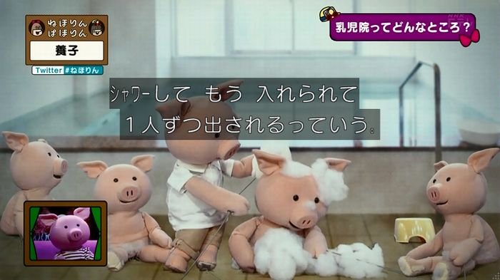 ねほりん 養子回のキャプ51