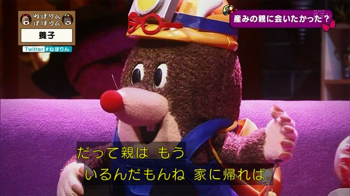 ねほりん 養子回のキャプ293