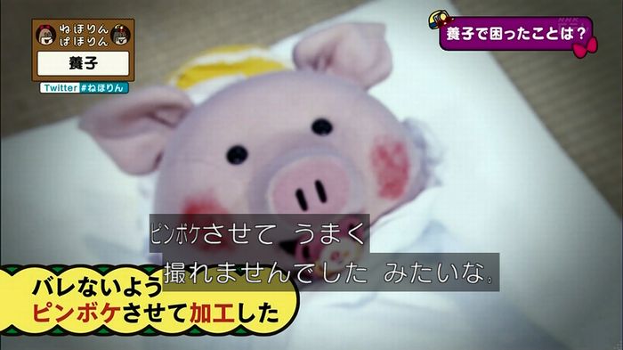 ねほりん 養子回のキャプ172