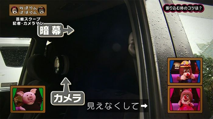 ねほりん 芸能スクープ回のキャプ126