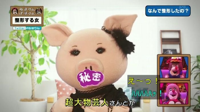ねほりんぱほりんのキャプ155