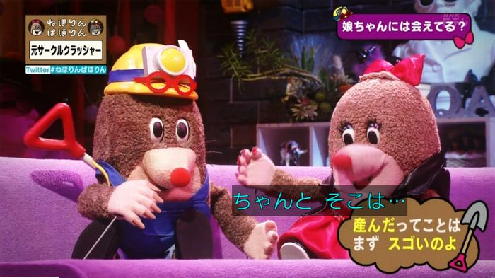 ねほりんぱほりん サークルクラッシャーのキャプ473