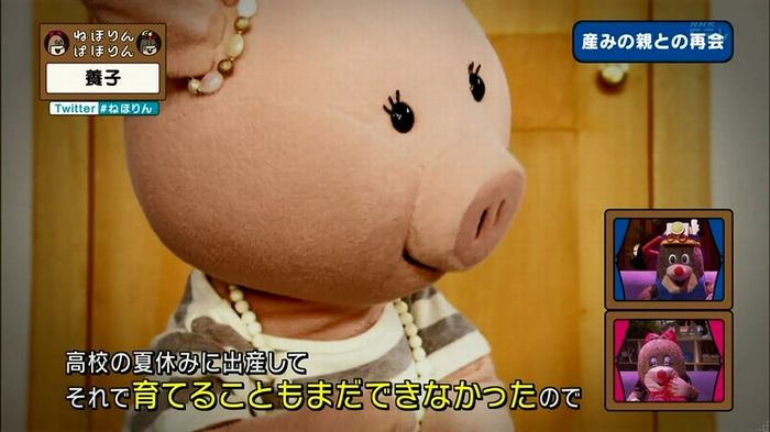 ねほりん 養子回のキャプ322