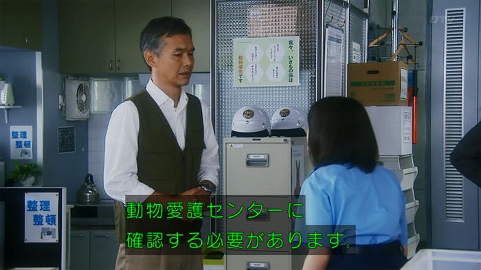 警視庁いきもの係 8話のキャプ72