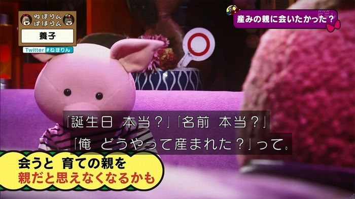 ねほりん 養子回のキャプ299