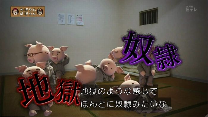ねほりんぱほりんのキャプ8
