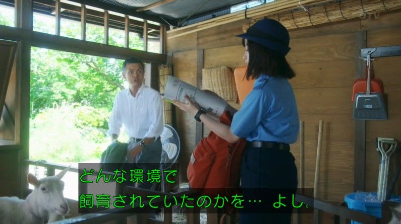 いきもの係 4話のキャプ241