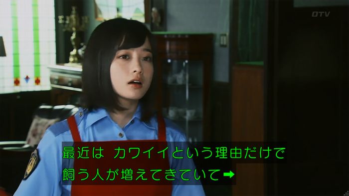 警視庁いきもの係 8話のキャプ239
