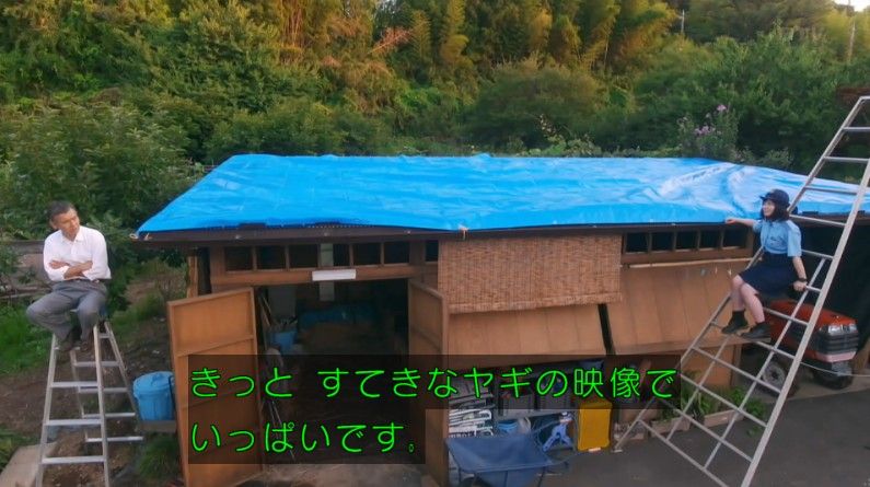 いきもの係 4話のキャプ570
