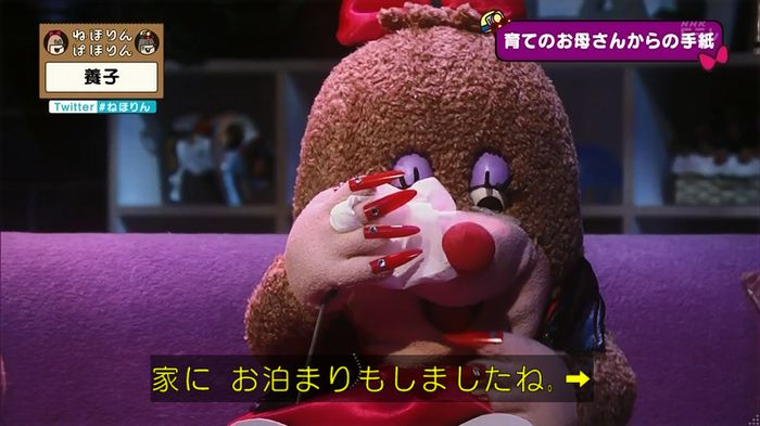 ねほりん 養子回のキャプ405
