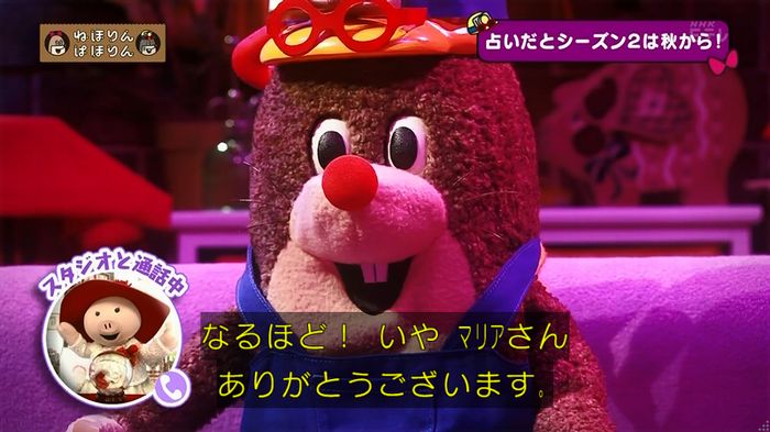 ねほりん 最終回のキャプ77