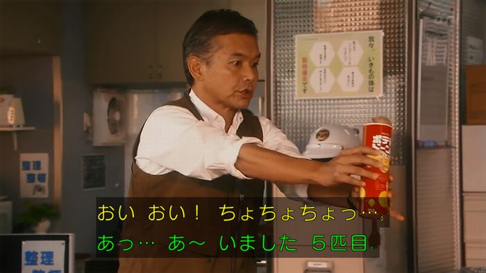 警視庁いきもの係 8話のキャプ414