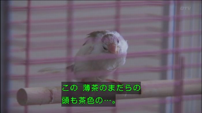 362