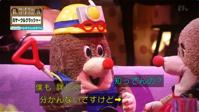 ねほりんぱほりん サークルクラッシャーのキャプ19