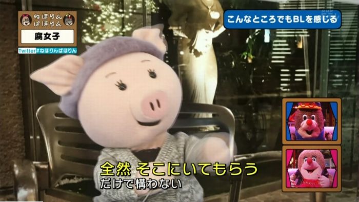 ねほりん腐女子回のキャプ242