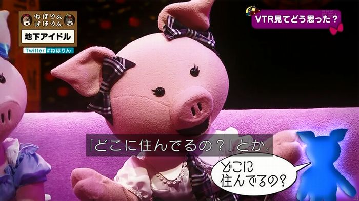 ねほりん 地下アイドル後編のキャプ77