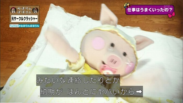 ねほりんぱほりん サークルクラッシャーのキャプ372