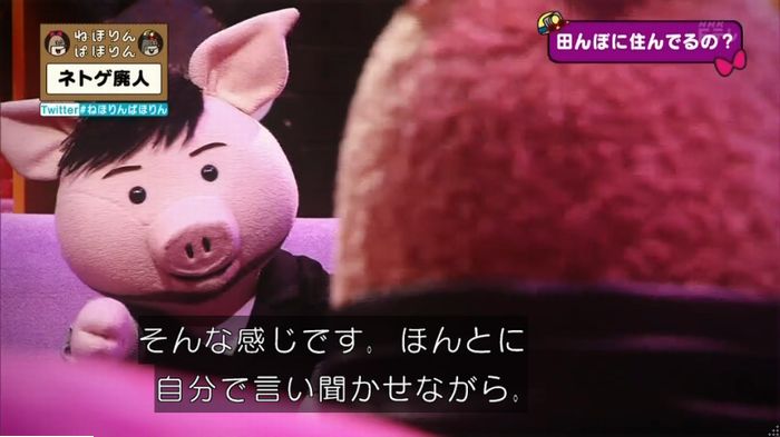 ねほりんネトゲ廃人のキャプ134