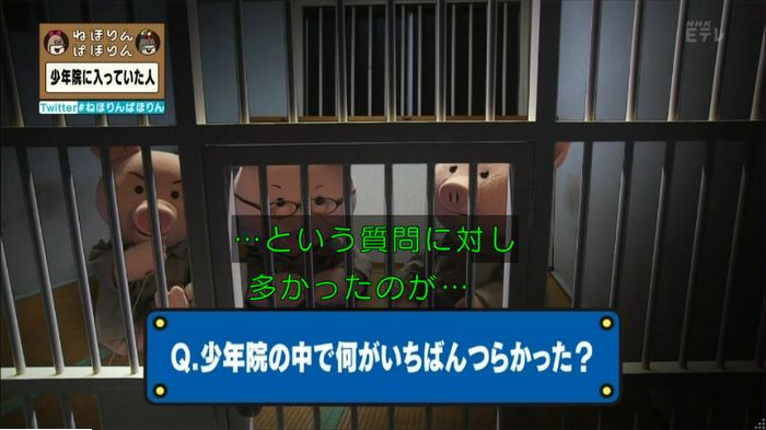 ねほりんぱほりんのキャプ136