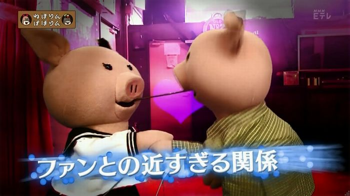 ねほりん 地下アイドル回のキャプ19