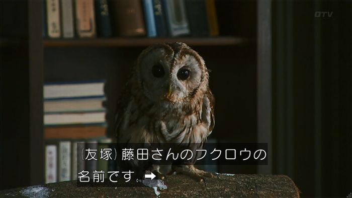 警視庁いきもの係 8話のキャプ314