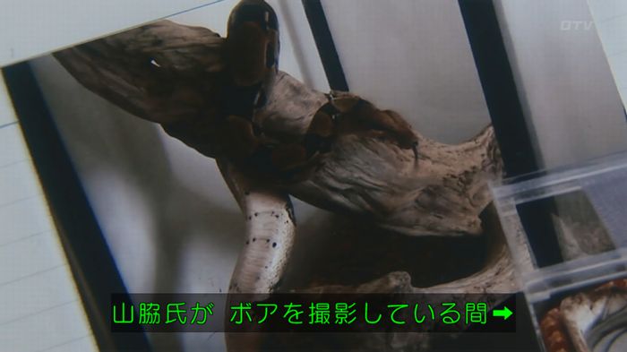 いきもの係 3話のキャプ254