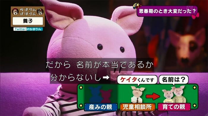 ねほりん 養子回のキャプ245