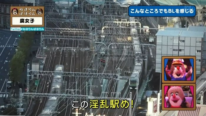 ねほりん腐女子回のキャプ263