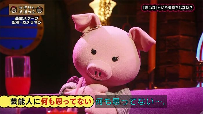 ねほりん 芸能スクープ回のキャプ281