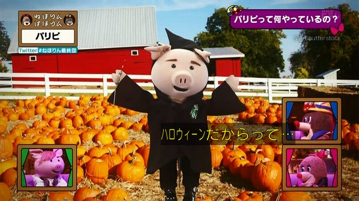 ねほりん 最終回のキャプ250