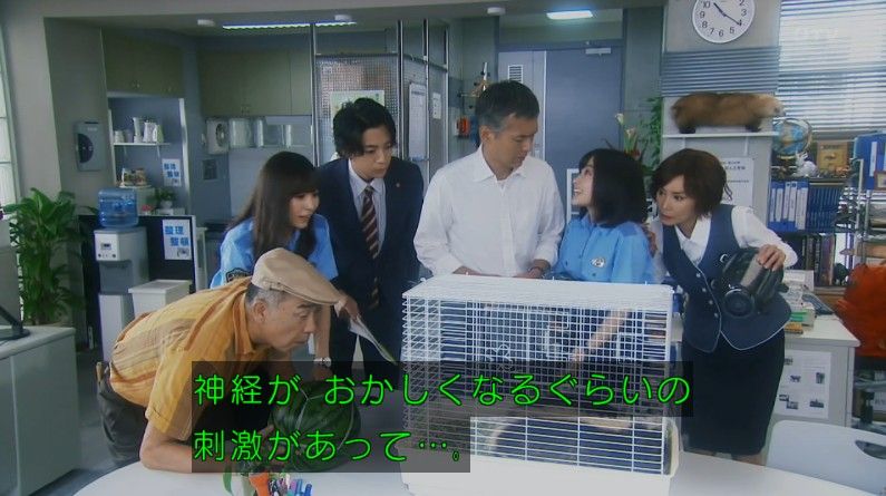 いきもの係 4話のキャプ108