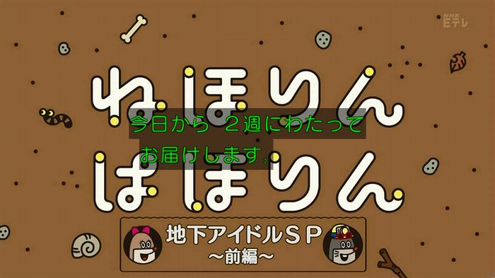 ねほりん 地下アイドル回のキャプ22